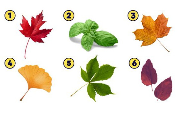 Quiz: Người ấy còn vấn vương hay đã quên bạn rồi? - Ảnh 3.