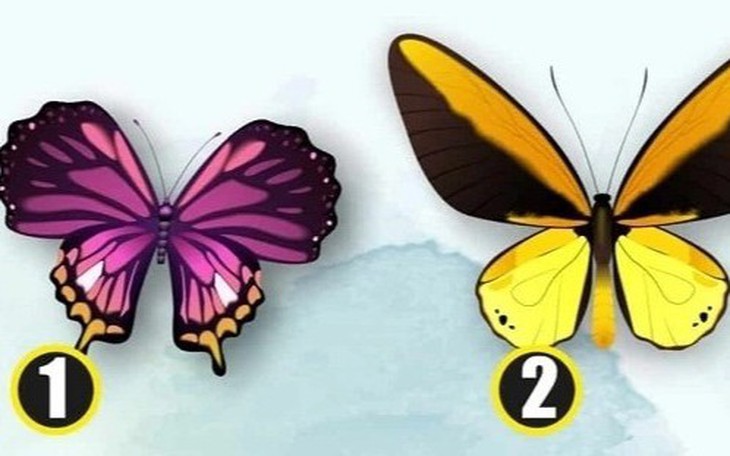 Quiz: Bạn giàu lên nhờ sự sáng tạo hay khả năng dẫn dắt người khác - Ảnh 2.