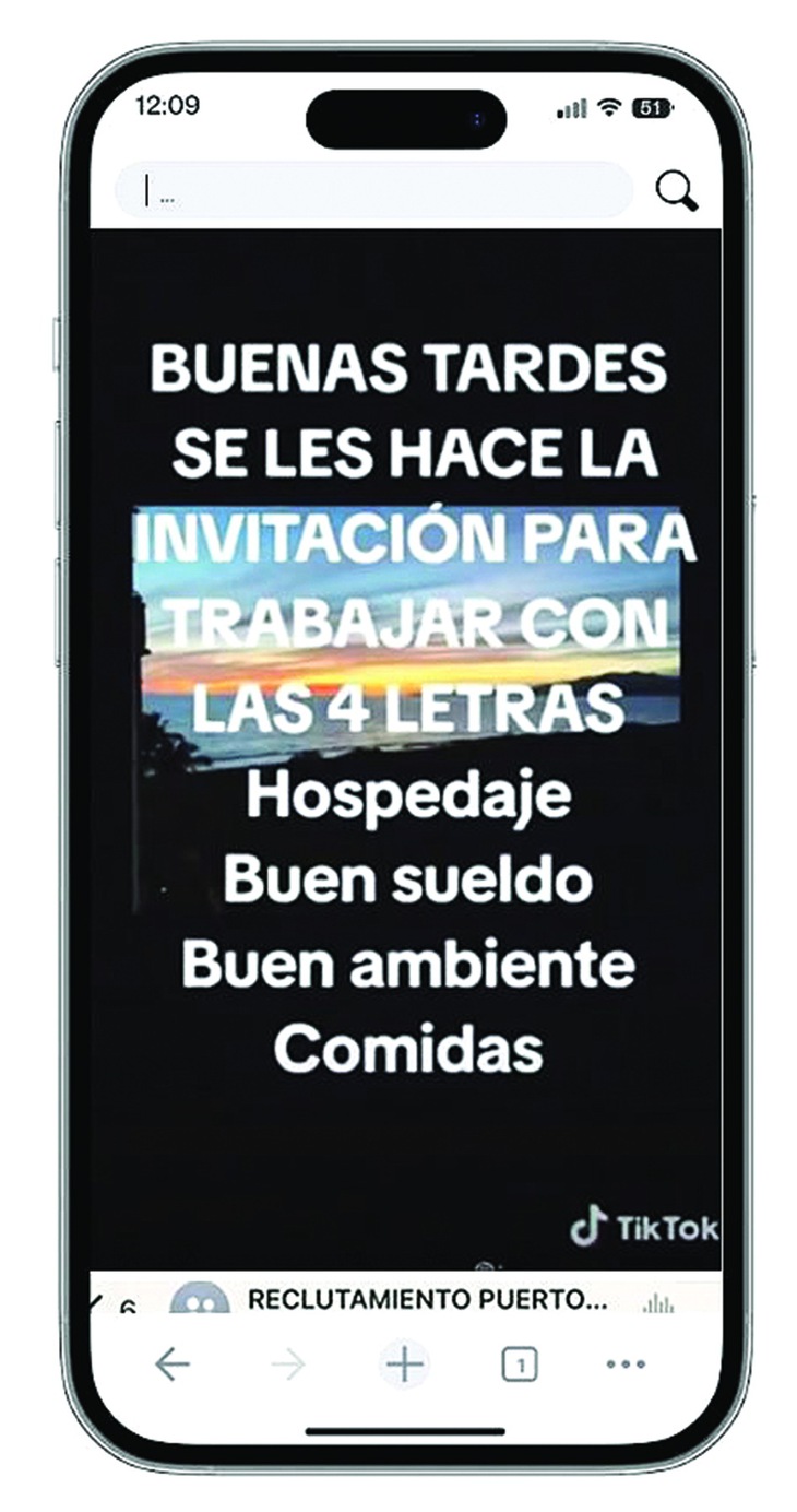  thế giới TikTok  - Ảnh 2.