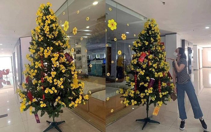 Trào lưu 'trộn' Noel với Tết khiến mạng xã hội cười nghiêng ngả - Ảnh 2.