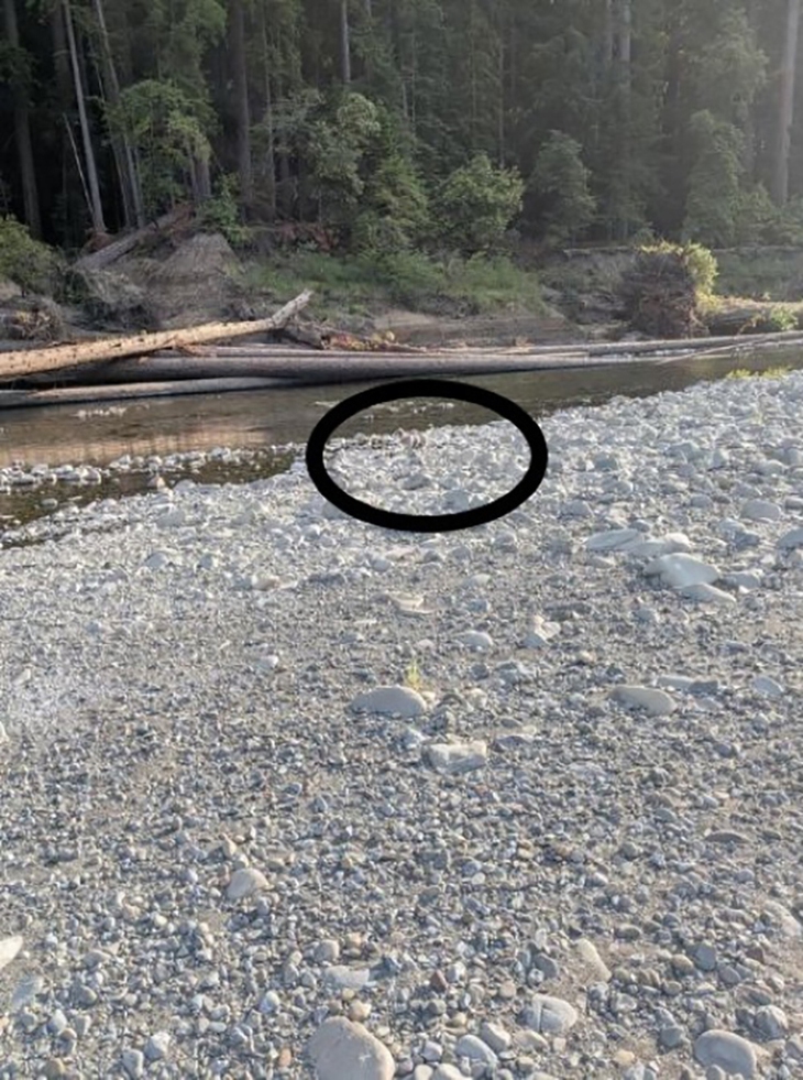 Mắt 10/10 - Ảnh 2.