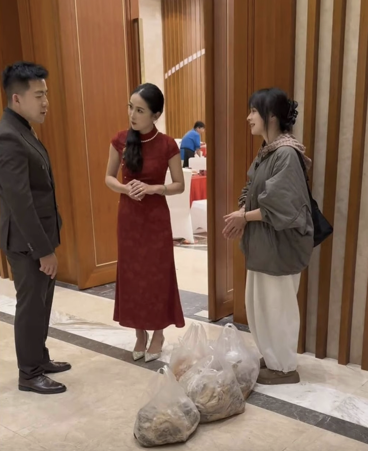 mèo hoang - Ảnh 1.