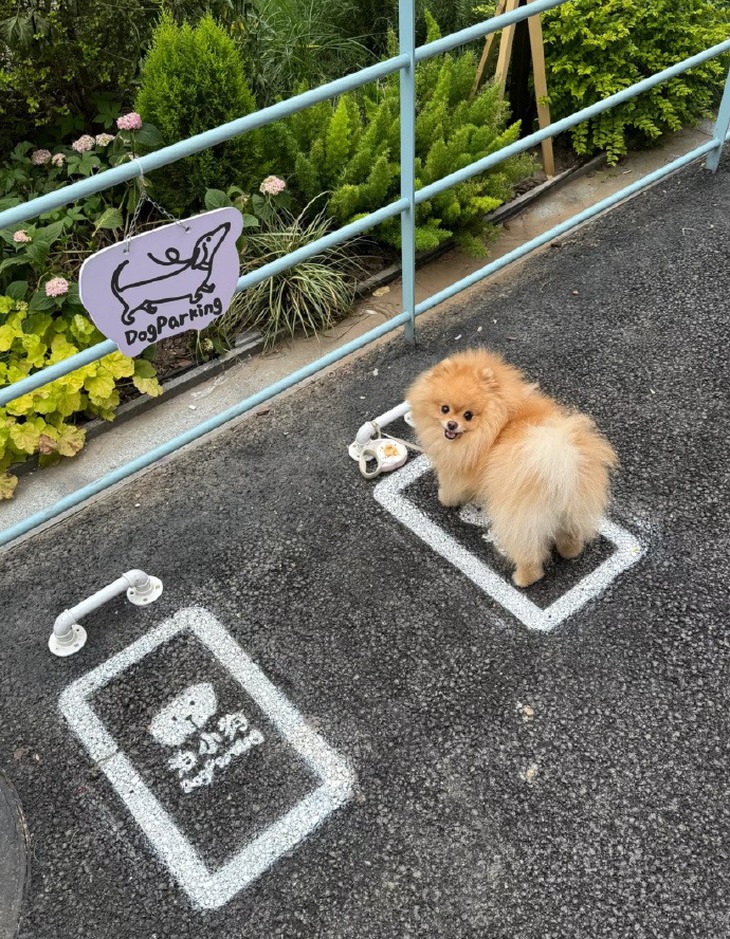 ảnh vui - Ảnh 1.