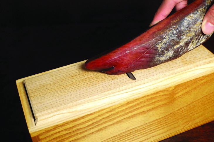 cá ngừ  - Ảnh 1.