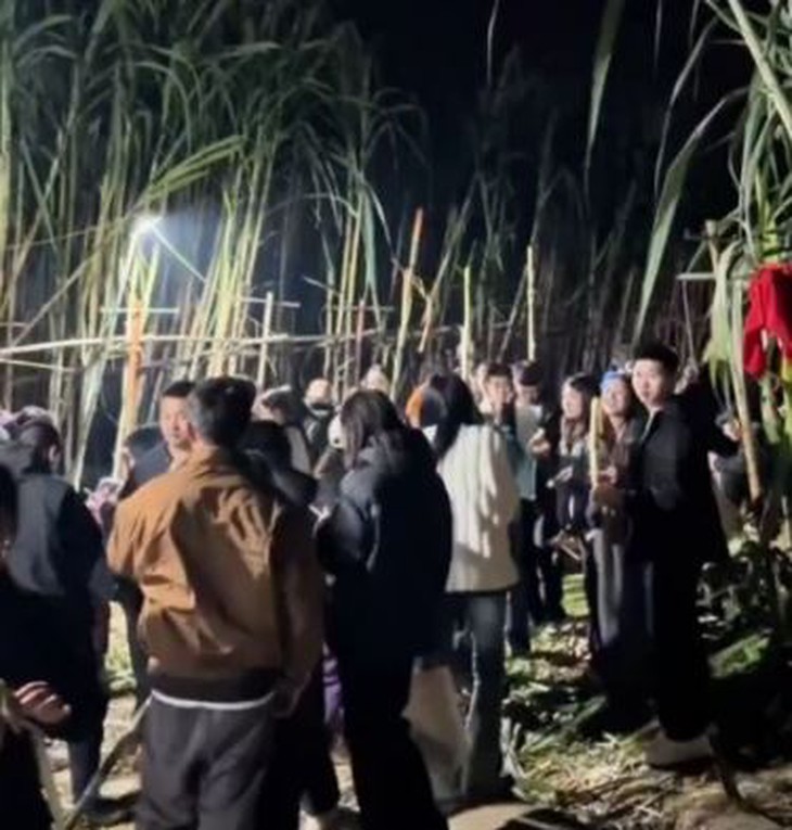 Nơi có du khách mê mệt hóa thân thành... kẻ trộm mía - Ảnh 1.