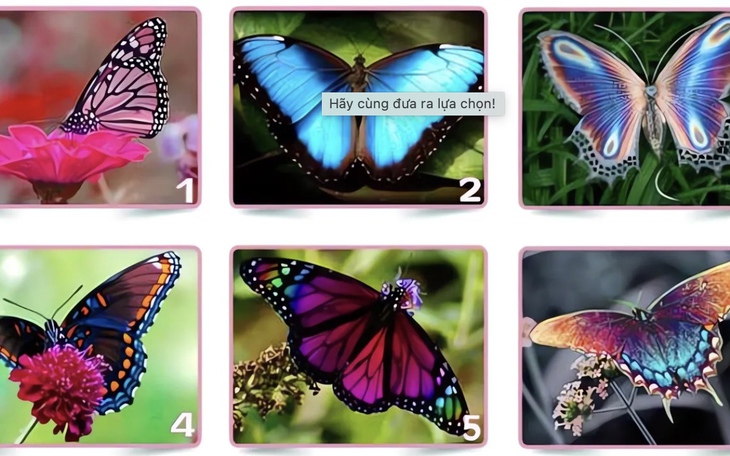 Quiz: Trong tình yêu, bạn coi trọng điều gì nhất? - Ảnh 3.