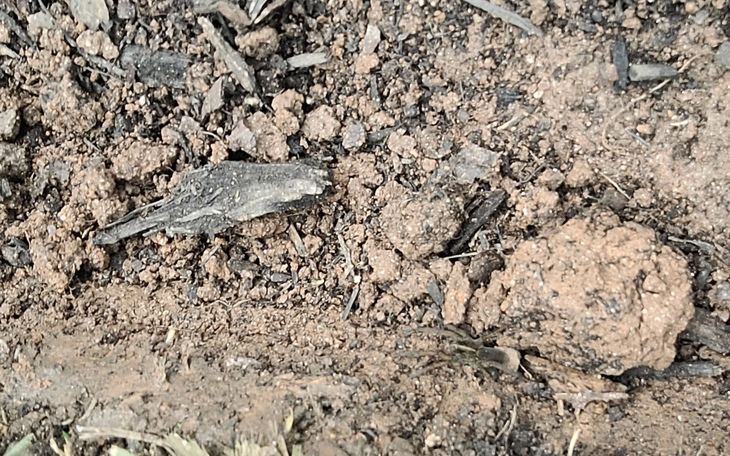 Thử tài IQ: Di chuyển một que diêm để 19+13=9 thành phép tính đúng - Ảnh 8.