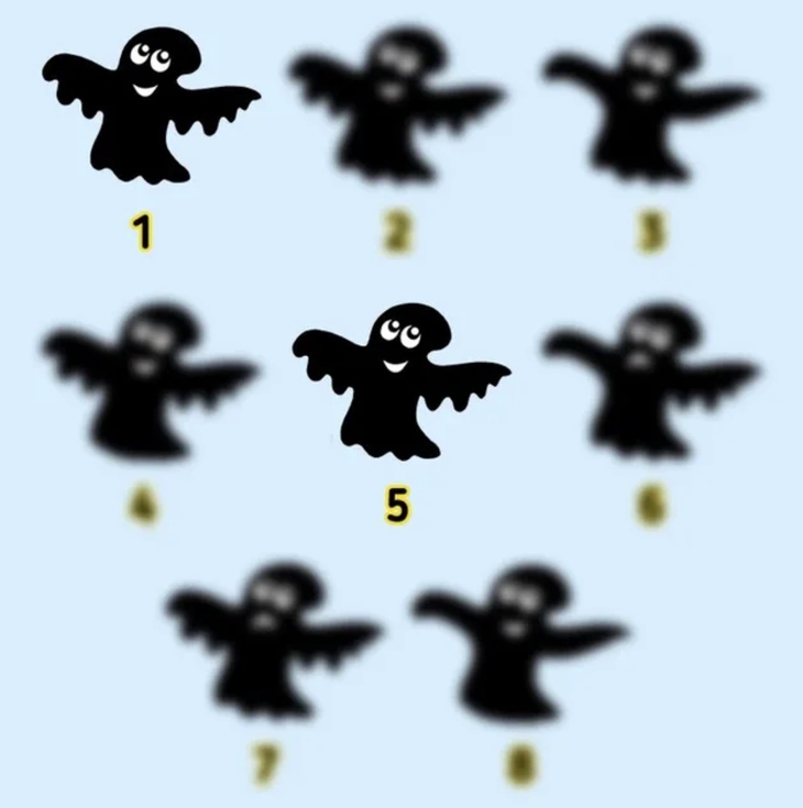 con nhện - Ảnh 4.