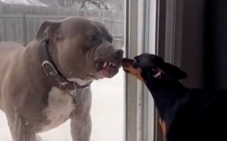 Quiz: Nỗi sợ lớn nhất trong đời của bạn là gì? - Ảnh 6.