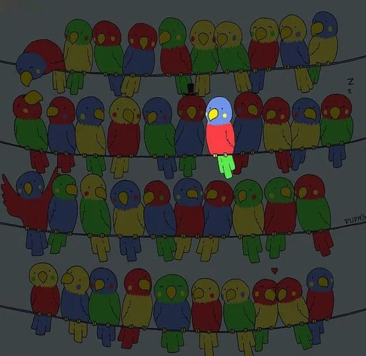 con ếch - Ảnh 4.