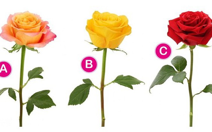 Quiz: Bạn dũng cảm hay là người có óc quan sát sắc bén - Ảnh 4.