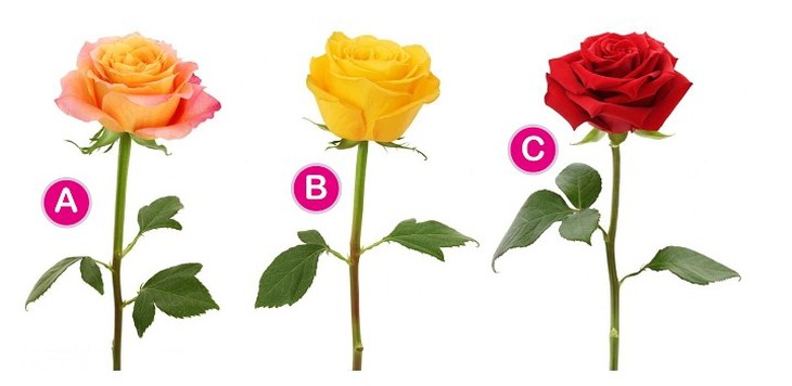 Quiz: Bạn ít nói, điềm tĩnh hay là người linh hoạt - Ảnh 1.