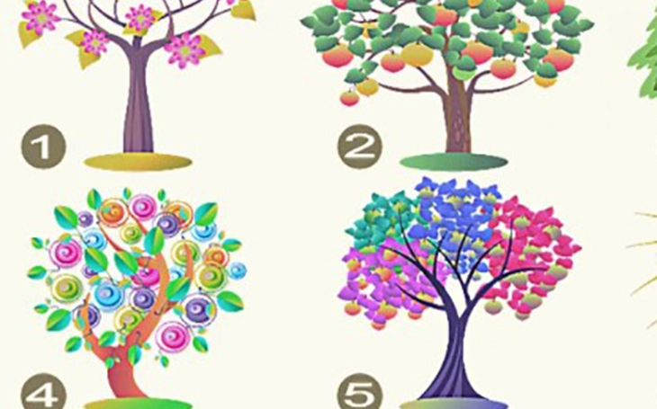 Quiz: Lựa chọn ngôi nhà phản ánh ưu thế và khả năng vượt trội của bạn - Ảnh 3.