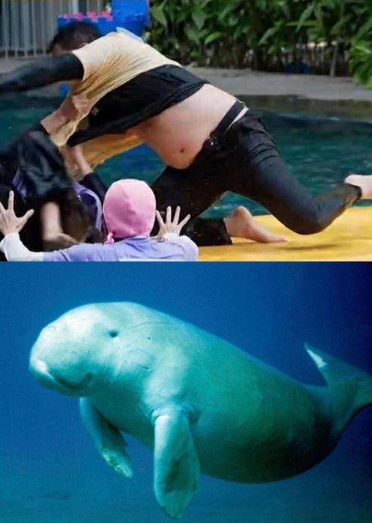 Trấn Thành tự 'dìm hàng', hơn 200 nghìn lượt thích vì… quá thật  - Ảnh 3.