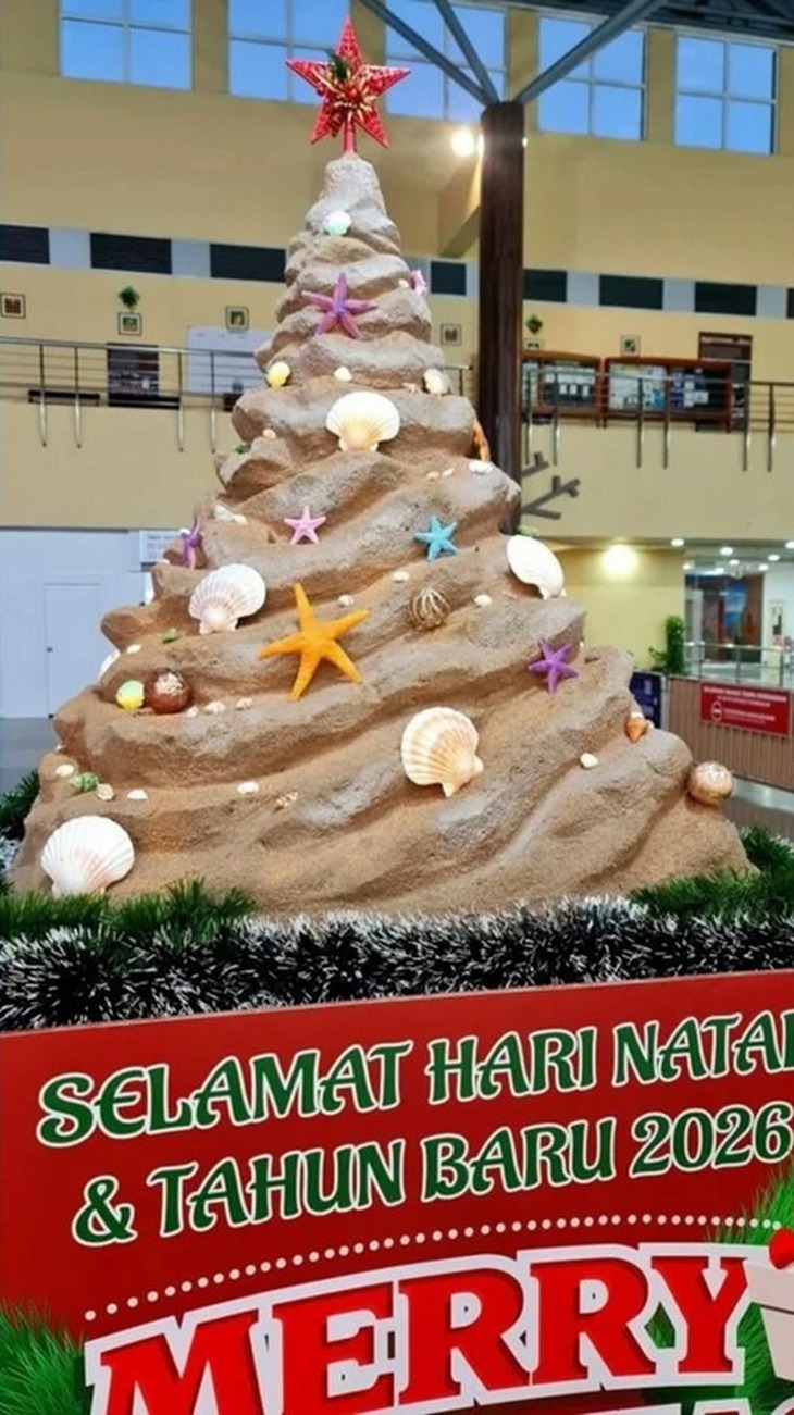 Cây thông Noel khiến dân mạng Malaysia… phải dụi mắt nhìn lại - Ảnh 2.