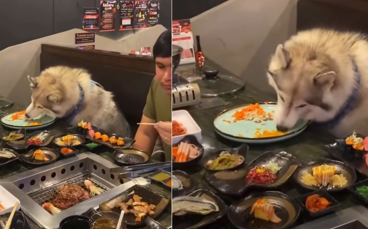 Ông già Noel và vợ bị 'tuýt còi' vì lái xe nhanh quá - Ảnh 5.