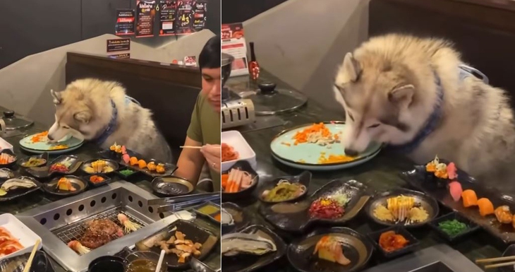 nhà hàng - Ảnh 1.