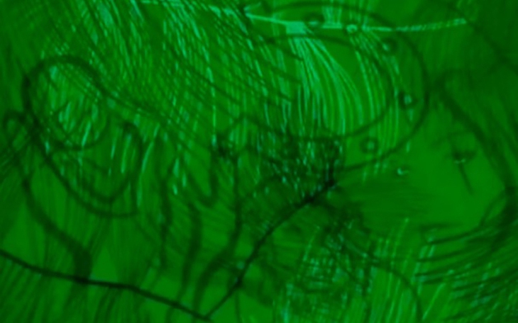 Quiz: Bạn nổi bật nhờ trí thông minh hay là người bướng bỉnh, cứng đầu - Ảnh 4.