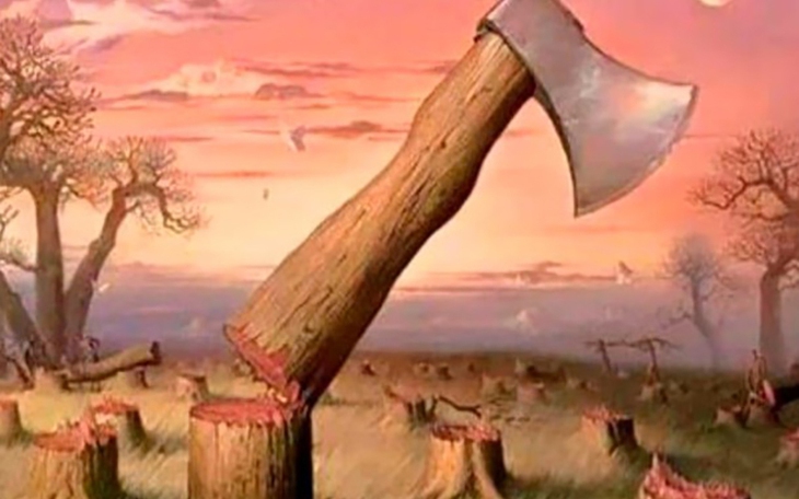 Quiz: Bạn thẳng thắn, cởi mở hay là người yêu đời, nhân hậu - Ảnh 2.