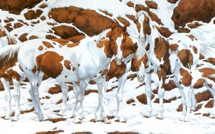 Quiz: Khám phá tính cách và bạn đời lý tưởng của bạn - Ảnh 6.