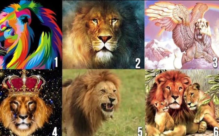 Quiz: Khám phá tính cách và bạn đời lý tưởng của bạn - Ảnh 3.