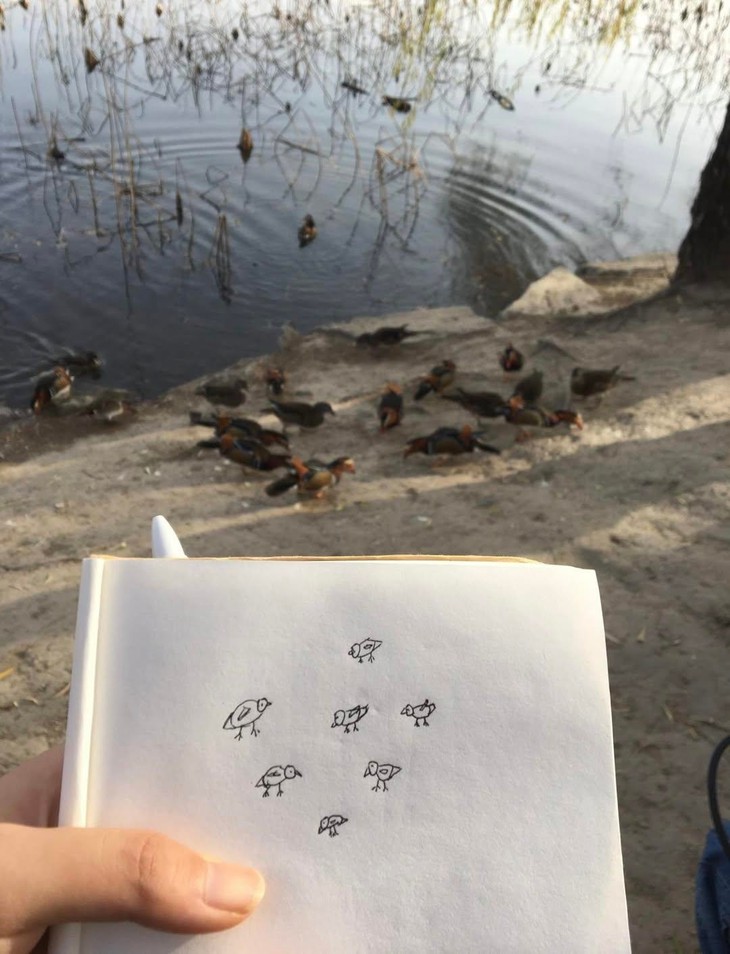 răng khôn - Ảnh 6.