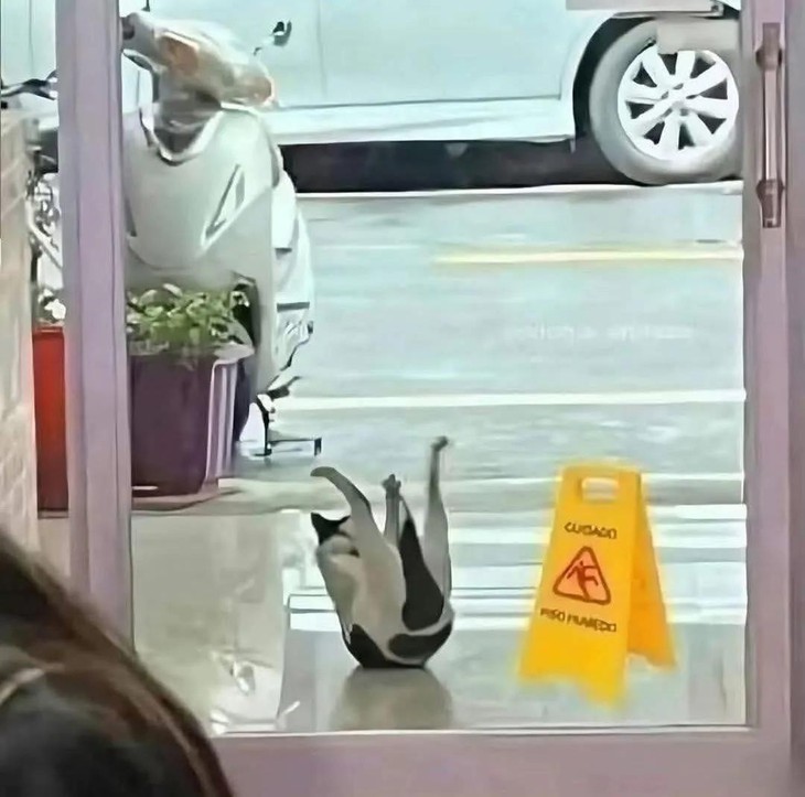 răng khôn - Ảnh 4.