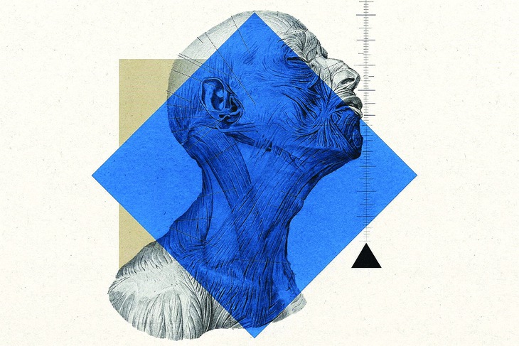  AI y khoa - Ảnh 3.