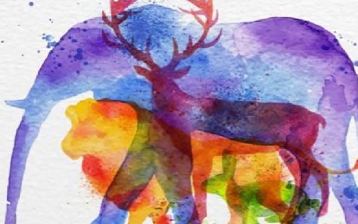 Quiz: Bạn chu đáo, ân cần hay là người giàu lòng trắc ẩn - Ảnh 3.