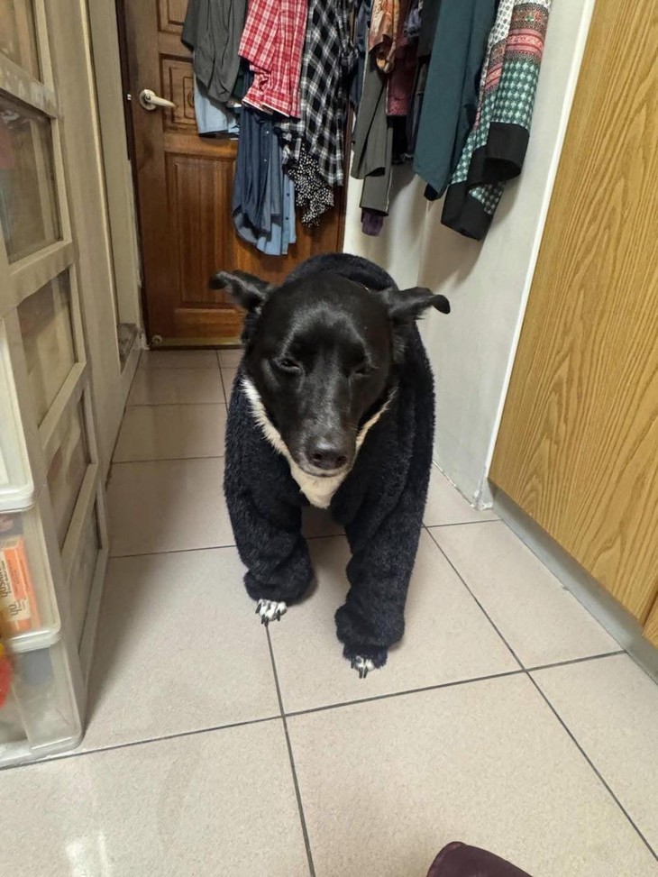 khẩu hiệu - Ảnh 6.