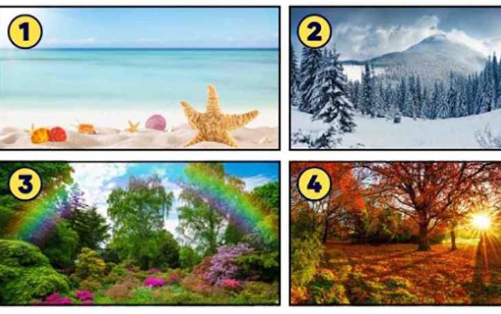 Quiz: Trong tình yêu, bạn được nâng niu đến mức nào? - Ảnh 2.