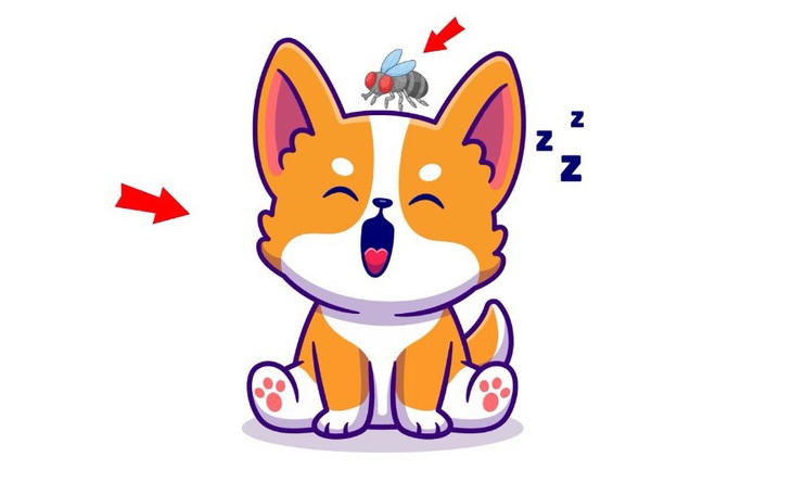 Câu tục ngữ, thành ngữ 'khó nhằn' này là gì? (P93) - Ảnh 4.