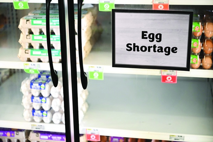 10 vạn quả trứng mất trộm và 'khủng hoảng ốp la' - Ảnh 1.