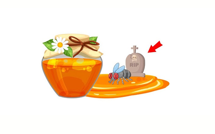 Câu tục ngữ, thành ngữ 'khó nhằn' này là gì? (P95) - Ảnh 5.