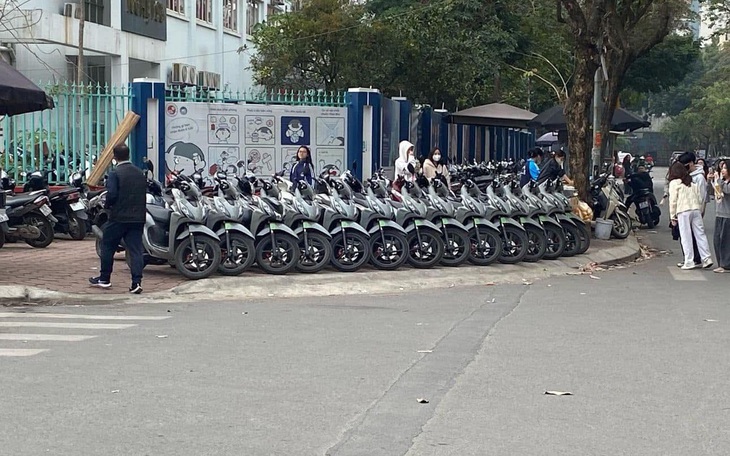 Độc lạ đàn vịt màu hồng ở miền Tây - Ảnh 3.