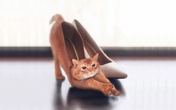 Quiz: Bạn có phải là người thích phiêu lưu không? - Ảnh 3.