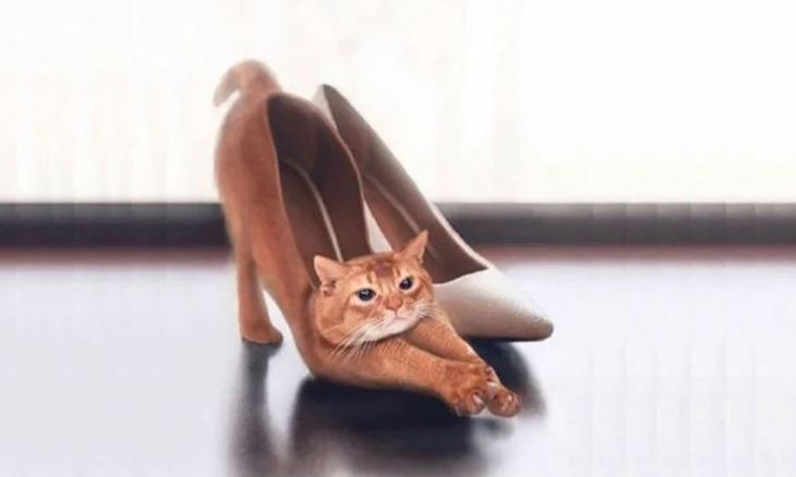 Quiz: Nhìn thấu con người bí ẩn của bạn chỉ qua một hình ảnh - Ảnh 1.