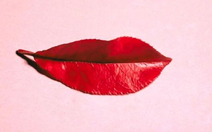 Quiz: Trong mắt mọi người, bạn có phải là người hòa đồng? - Ảnh 4.