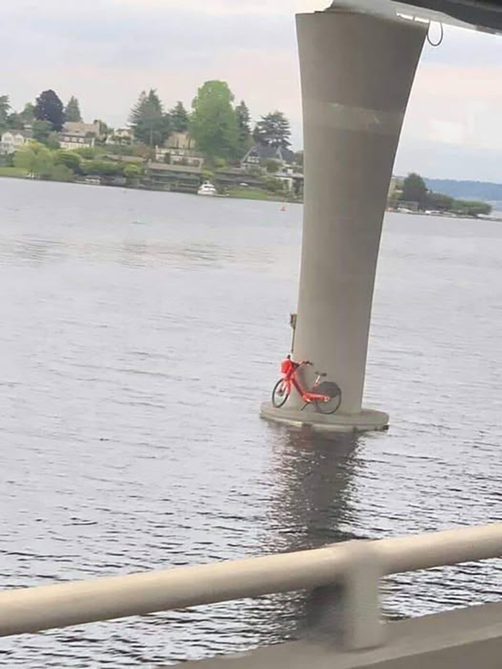 Ảnh vui 24-2: Cần lắm một lời giải thích! - Ảnh 1.