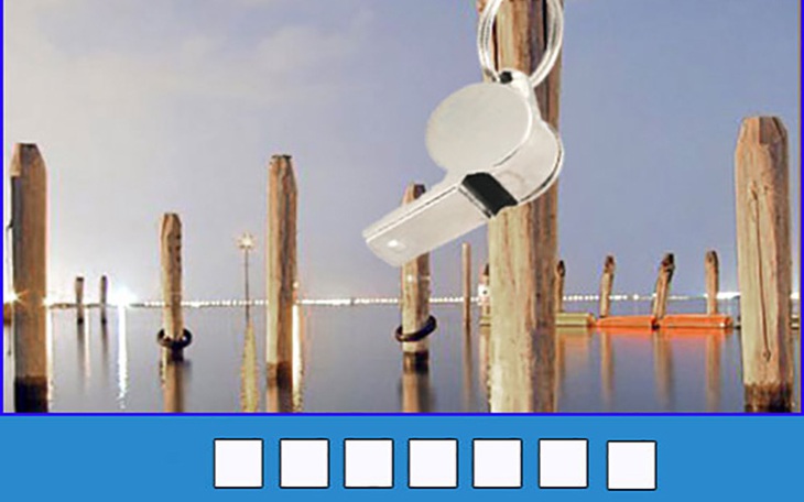 Thử tài nhanh trí với đuổi hình bắt chữ (P76) - Ảnh 7.