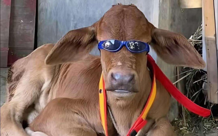 Đôi môi sưng chù vù như 'quái vật hoạt hình' sau phun xăm - Ảnh 2.