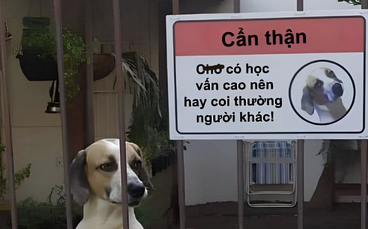 Đám cưới toàn phù dâu cơ bắp 'cục cục' - Ảnh 4.