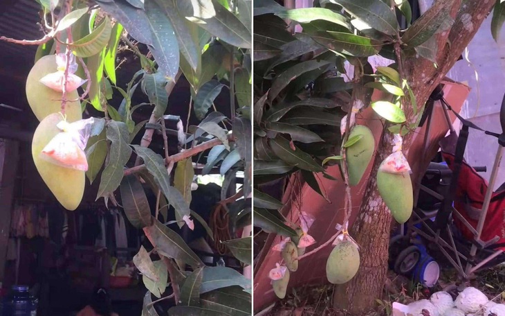 Thẩm mỹ xong đẹp quá làm mất hết bạn bè - Ảnh 2.