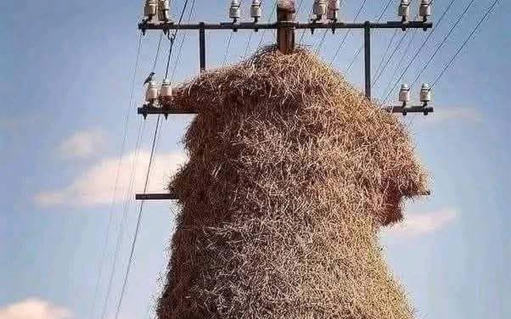 Dân mạng soi điểm bất thường trên áo Kim Sae Ron - Ảnh 5.