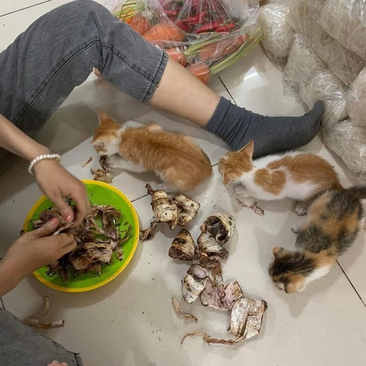 Ảnh vui 15-3: Sợ bị muỗi đốt nhưng không có mùng - Ảnh 4.