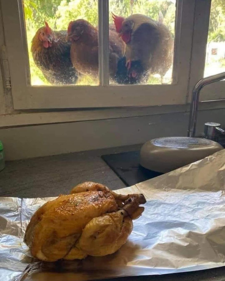 Ảnh vui 16-3: Bức ảnh phát ra âm thanh - Ảnh 2.