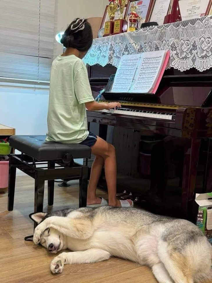 Ảnh vui 18-3: 'Làm bài tập dễ lắm, để bố chỉ cho' - Ảnh 4.