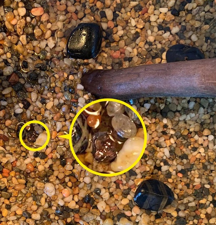 Thử tài tinh mắt: Người phụ nữ ẩn giấu ở đâu? - Ảnh 1.