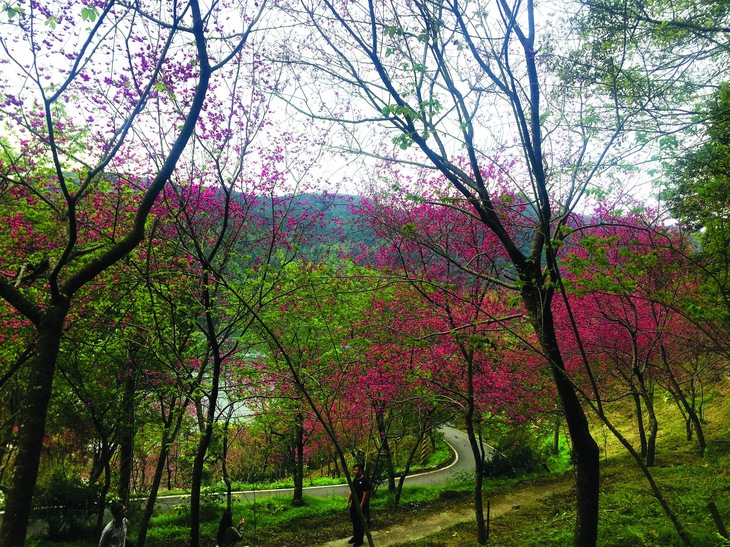 Đài Loan - Ảnh 1.