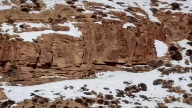 Mắt 10/10 mới thấy 5 con gà ẩn giấu trong hình - Ảnh 2.